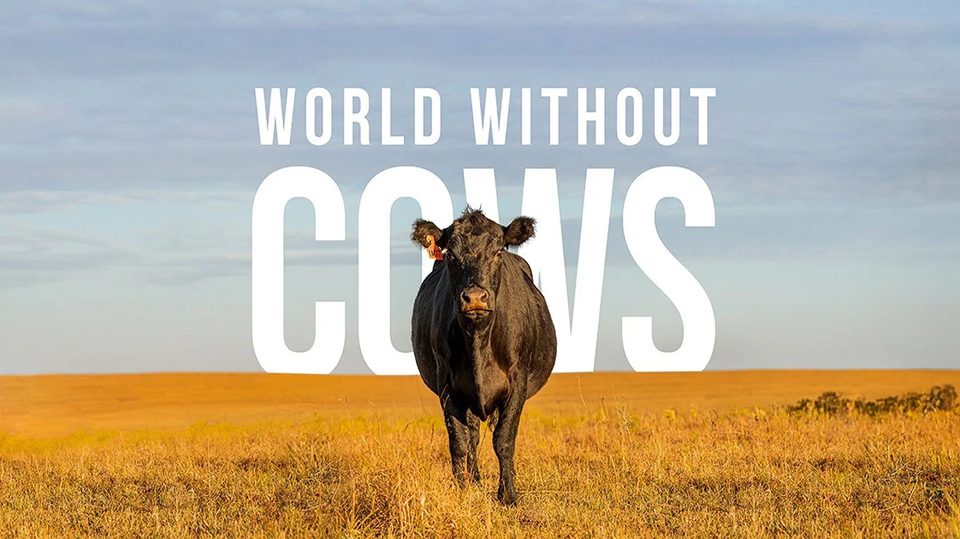 World Without Cows