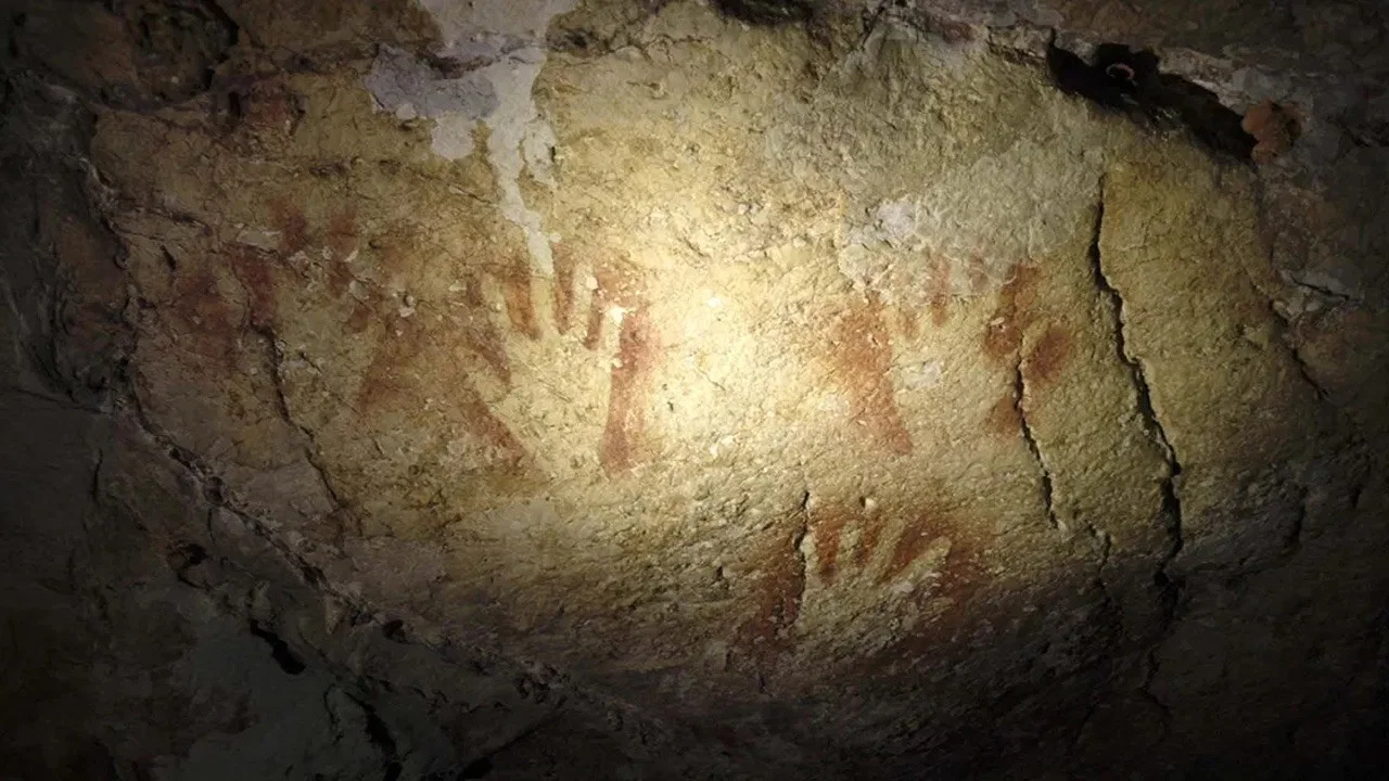 Couverture de Sulawesi, l’île des premières images