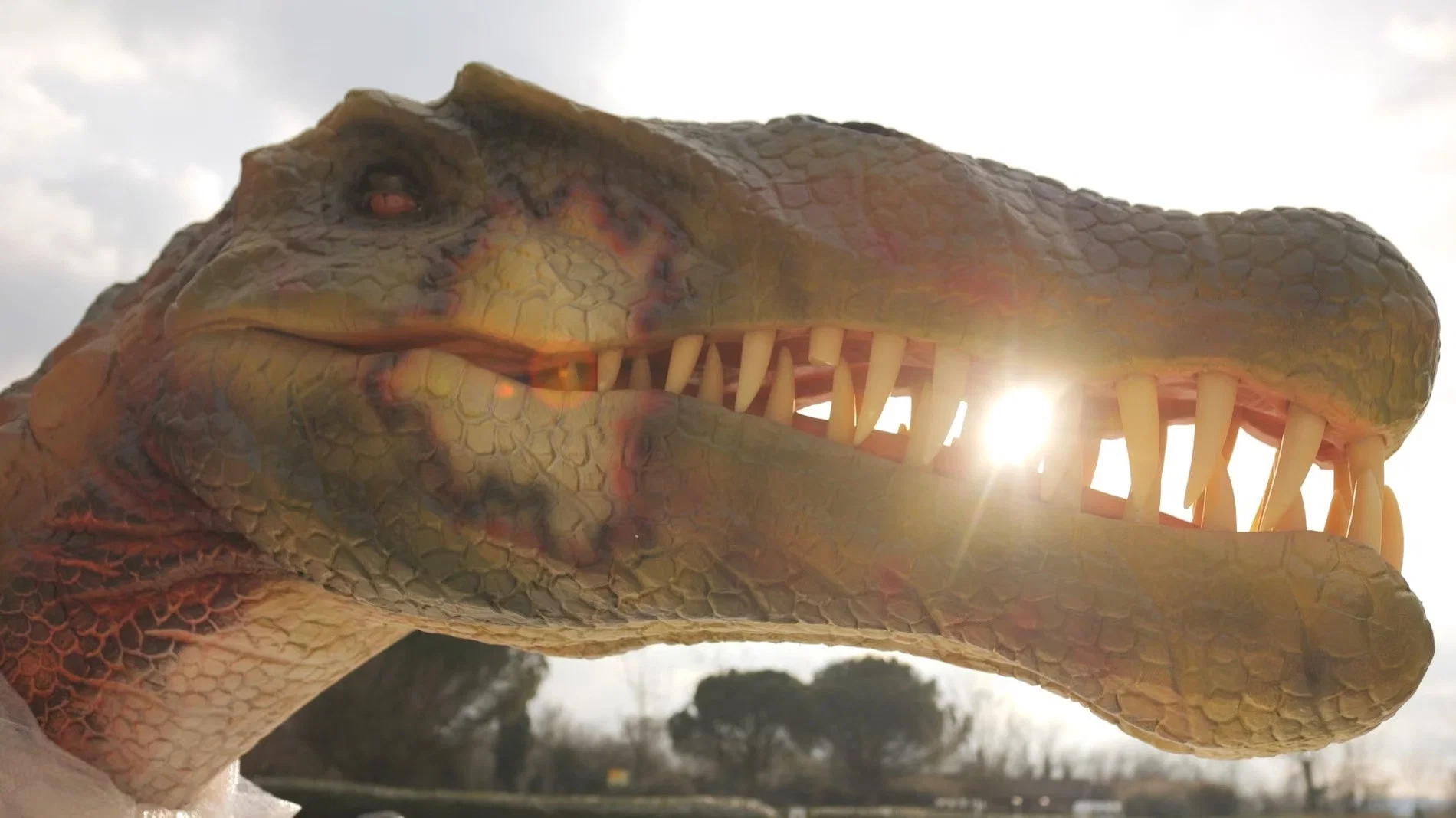 La folie des parcs d'attractions