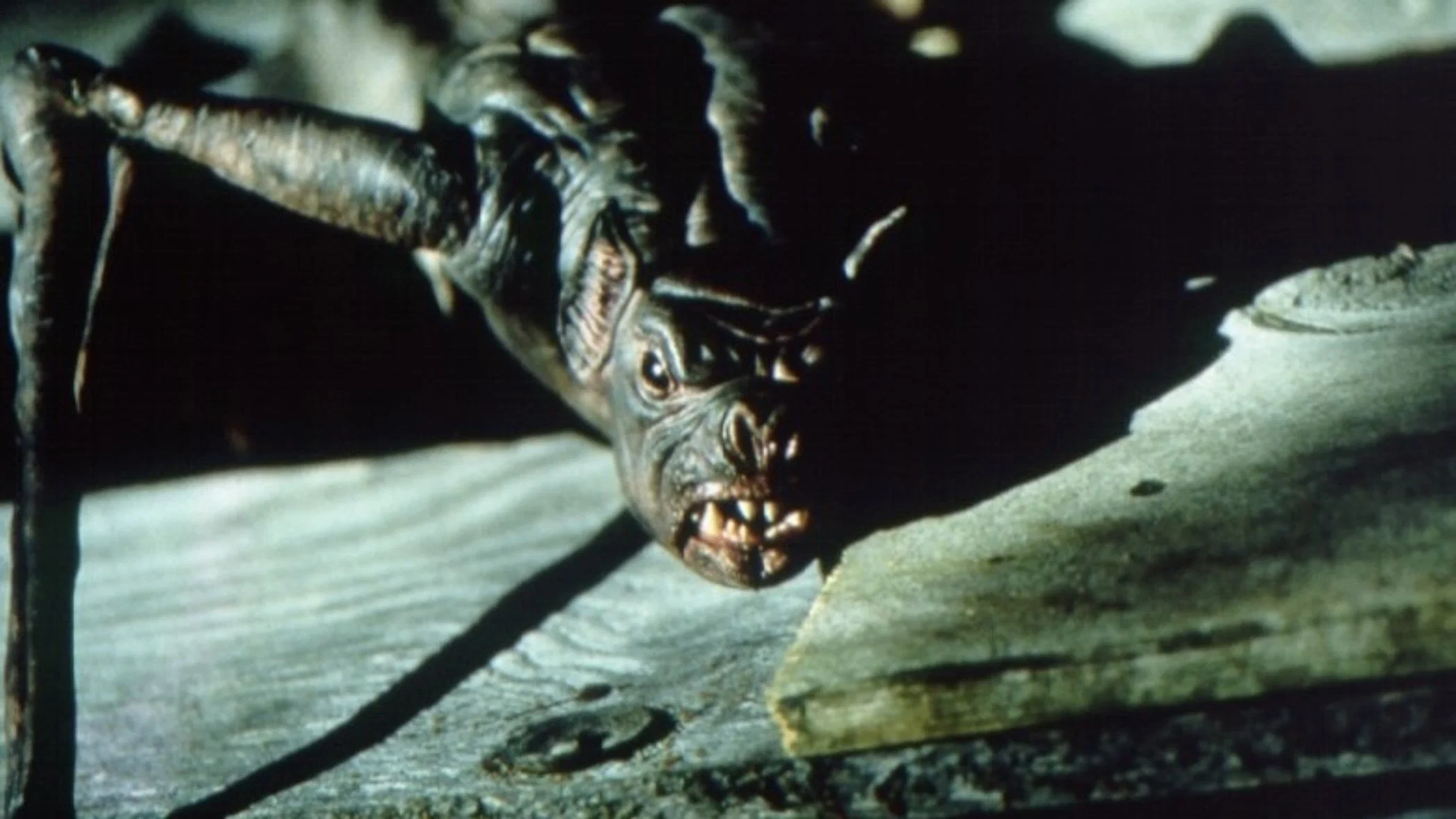 Couverture de La nuit des chauves-souris