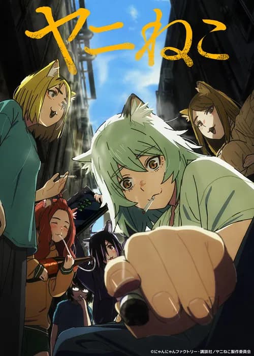 Yanineko