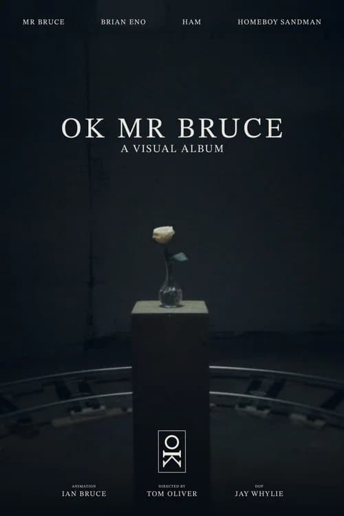 OK MR BRUCE