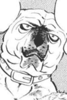 Rikiou