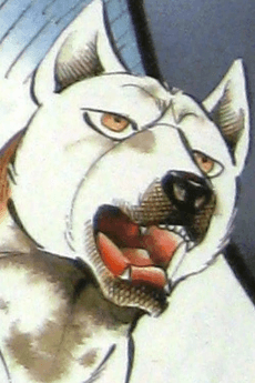 Minazuki