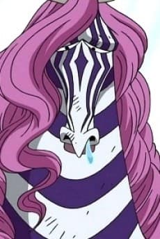 Minozebra