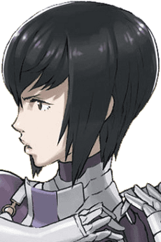 Degel
