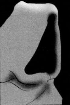 Nageki no Nezumi