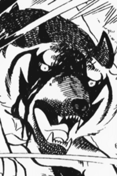 Raiga