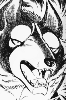 Shuuga