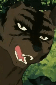Chuutora