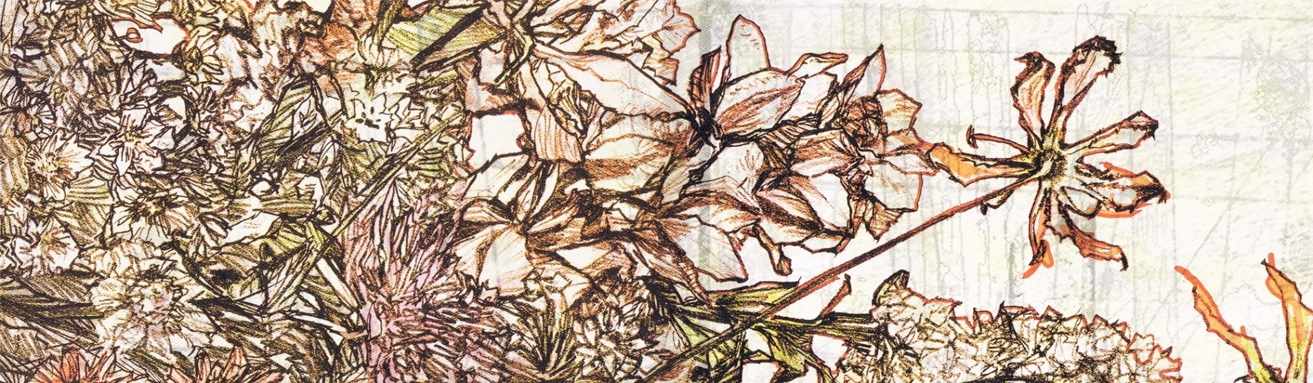 Couverture de The Withering of the Akane Shinchi Flower Shop