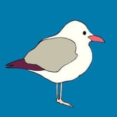 Wamome Hamazono