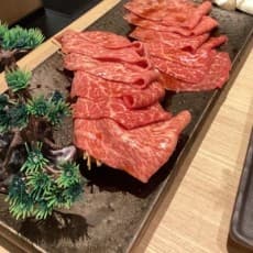 Nojika Nasu