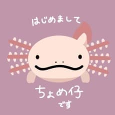 Chomeko